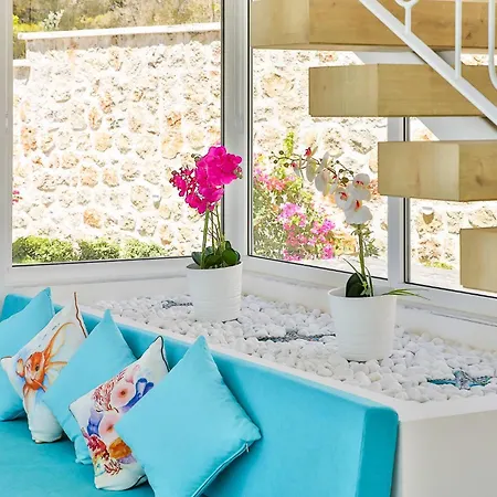 Villa Eco Bella